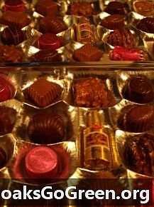 Čokoláda zvyšuje mozek, vizuální schopnosti