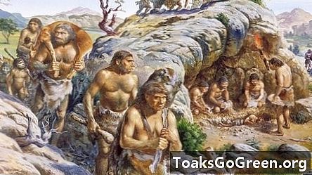 Indici pentru tactica de vânătoare a Neanderthalului ascunși în dinții de ren