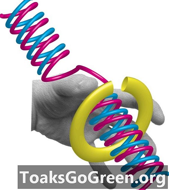 Ključni korak v podvajanju človeške DNK, opažen z uporabo fluorescentnih oznak