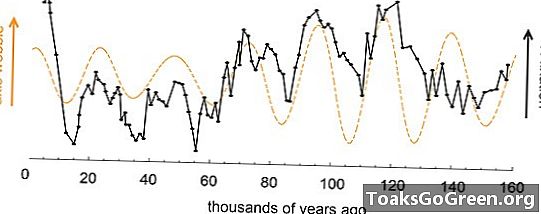 Daniel Sigman o oceanskim algama i globalnom hlađenju prošlosti