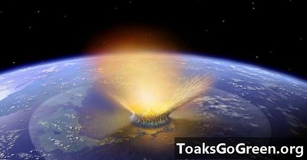 Темный в течение 2 лет после астероида убийства динозавров?