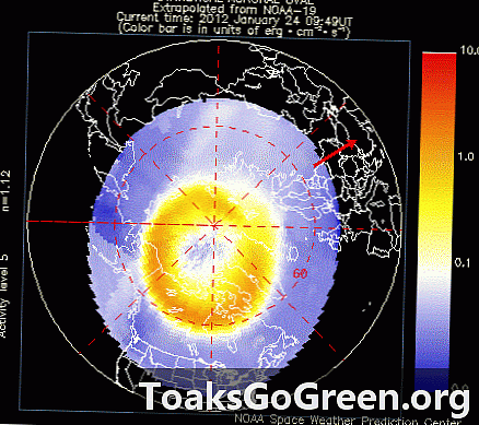 Spettacolari spettacoli di aurora boreale visti ad alta latitudine il 24 gennaio