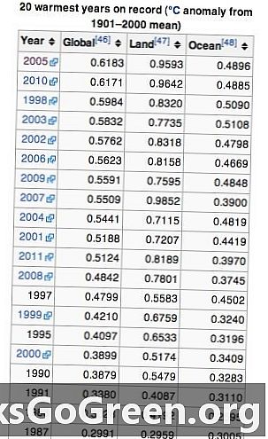 העשור 2001-2010 היה החם ביותר מאז בשנת 1850, אומר WMO