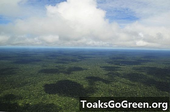 Avskogning minskar den tropiska nederbörden, säger studie