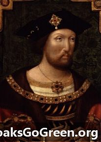У Генриха VIII было заболевание крови?