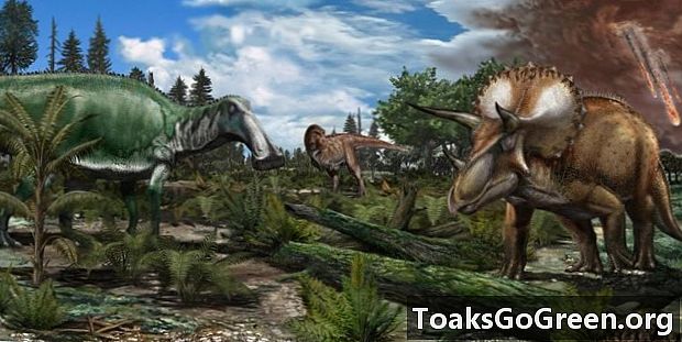 Dinosaurer trivedes før dødelig asteroidpåvirkning