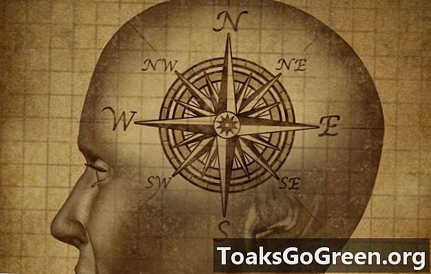 Onko sinulla pään magneettinen kompassi?