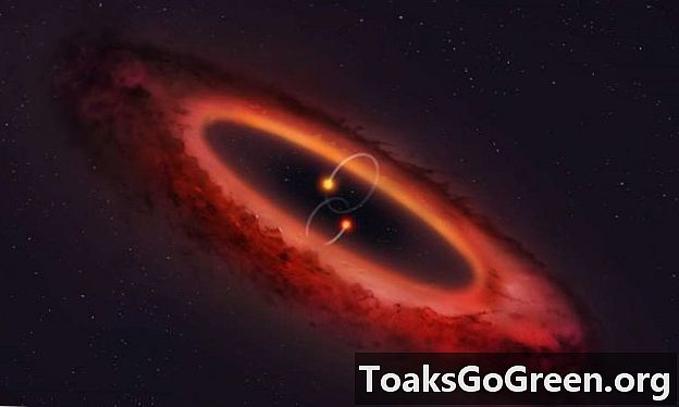 Dubla stea plutește discul format din planetă în poziția polului