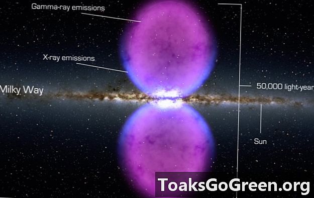 Даг Финкбейнер: гигантские энергетические пузыри обнаружены в галактике Млечный Путь