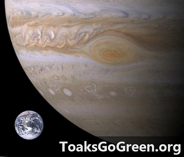 زمین جیسے سیارے گرم ، شہوت انگیز Jupiters کے نظام میں ممکنہ نہیں ہے