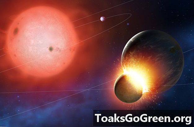 ארבעה כוכבי גמד לבן נלכדים בפעולה של צמחיית Exoplanets דמויי כדור הארץ