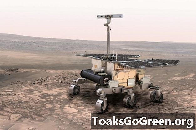 Roverul ExoMars a fost numit pentru Rosalind Franklin
