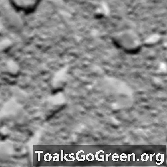 Elveda, Rosetta kuyruklu yıldız görevi