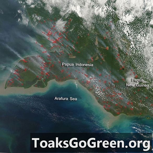 Els incendis a Indonèsia propagen fum
