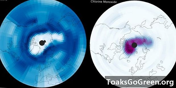 Pirmoji Arkties ozono skylė: kaip ji susiformavo, ką ji gali reikšti