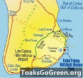 Vis succesverhaal in Baja als ontwikkeling opdoemt