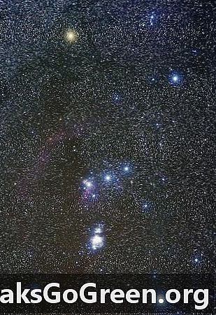 Yıldızlara odaklanın Betelgeuse ve Rigel