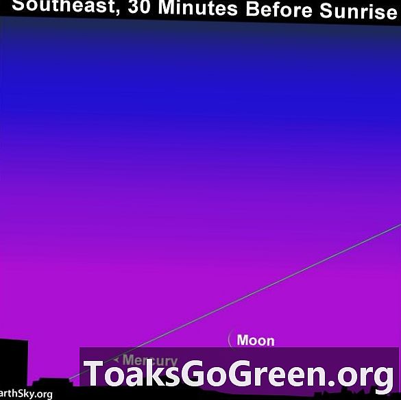 بالنسبة إلى نصف الكرة الجنوبي ، القمر وعطارد قبل غروب الشمس في 13 و 14 أبريل