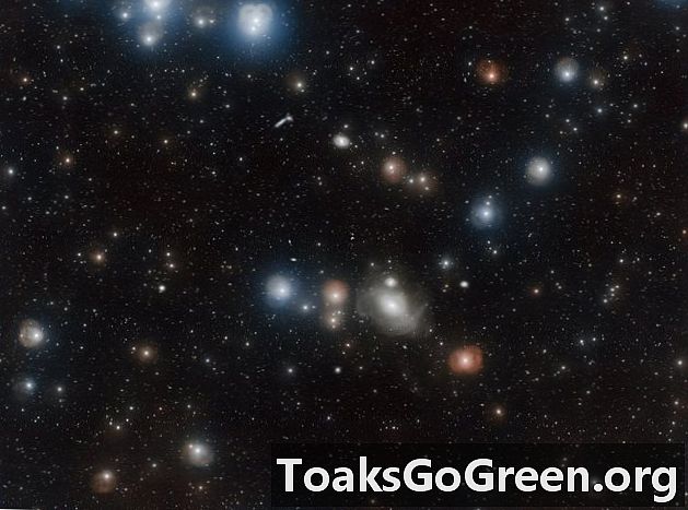 Fornax Galaxy Cluster揭示了其秘密
