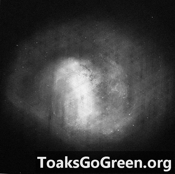 Gaias Blick auf die große Magellansche Wolke