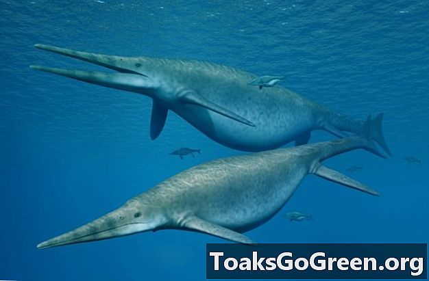 지금까지 가장 큰 동물 중 하나 인 자이언트 ichthyosaur