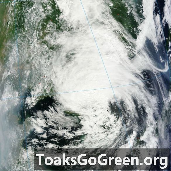 Wereldwijde tropische cycloonupdate voor 1 augustus 2012