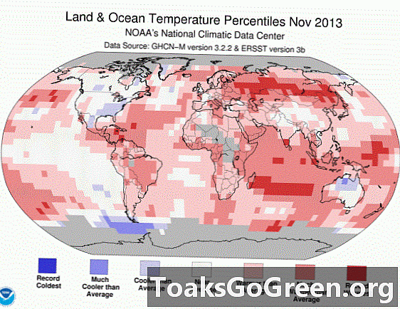 Wereldwijd was november 2013 de warmste november ooit geregistreerd