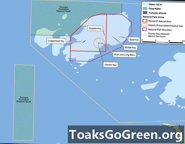 Buone notizie dalla riserva marina di Tortugas