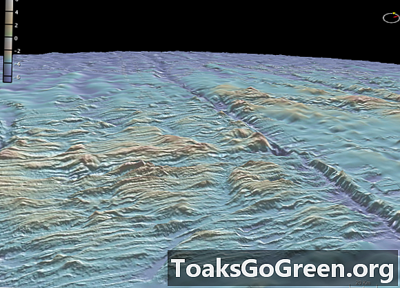 Google Ocean-kartor dyker djupt