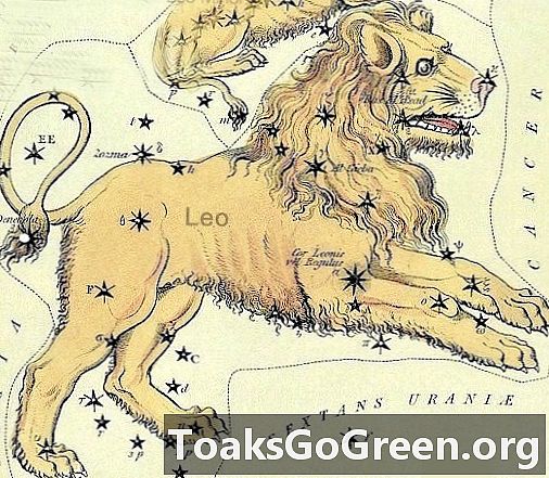 Hvordan Leo Løven mistede halen