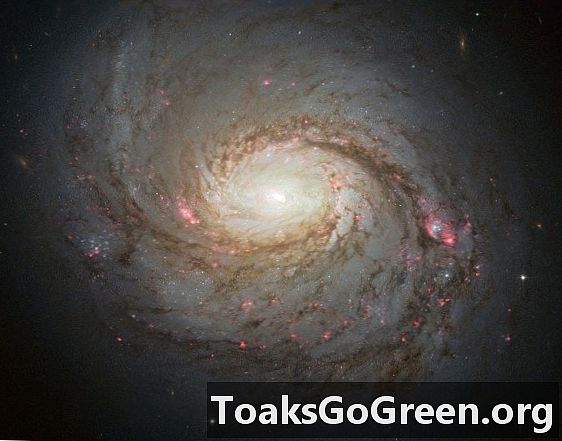 Хаббл наблюдает скрытые глубины Мессье 77