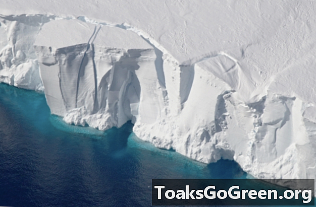 Крижані скелі в Антарктиді, можливо, не сприятимуть надзвичайному підвищенню рівня моря в цьому столітті