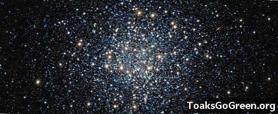 Imatge: Vasta bola d'estrelles en un cúmul global