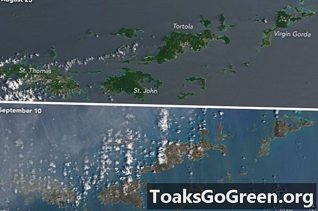 Irma zmení farbu karibských ostrovov na hnedú