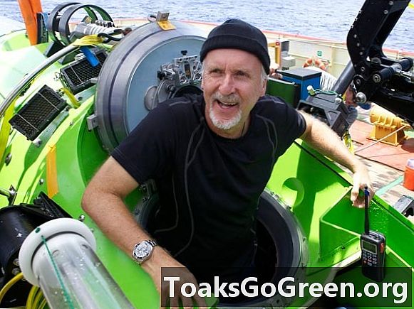 James Cameron vender tilbage, efter rekordstor dykk i det dybeste hav