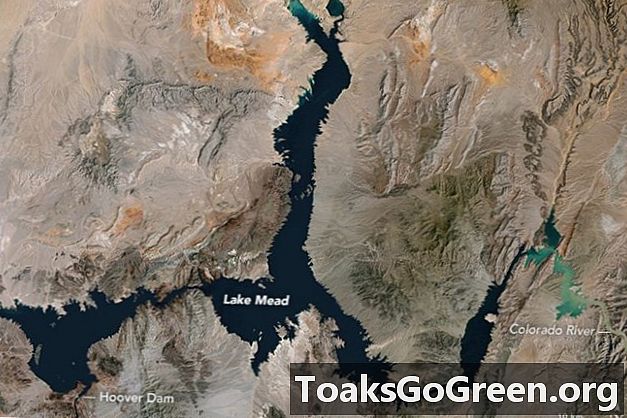 Lake Mead når et rekordlavt niveau - Andet