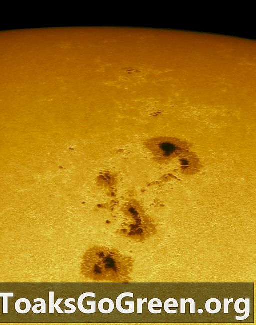 Velká skupina slunečních skvrn AR 2339
