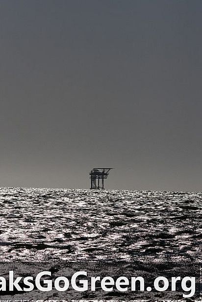 Lesli Wood: Menjelajahi minyak dalam laut Teluk Meksiko