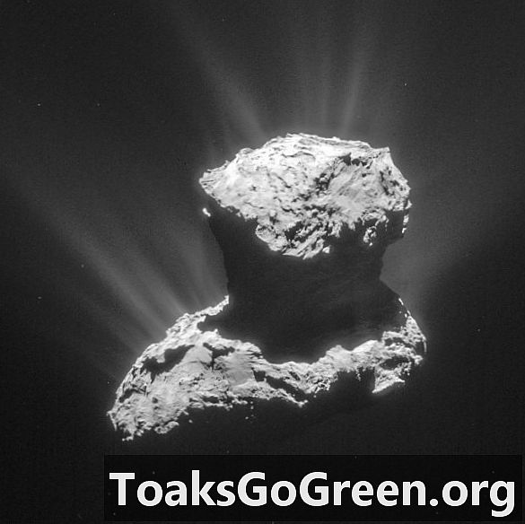 Levensingrediënten in de komeet van Rosetta