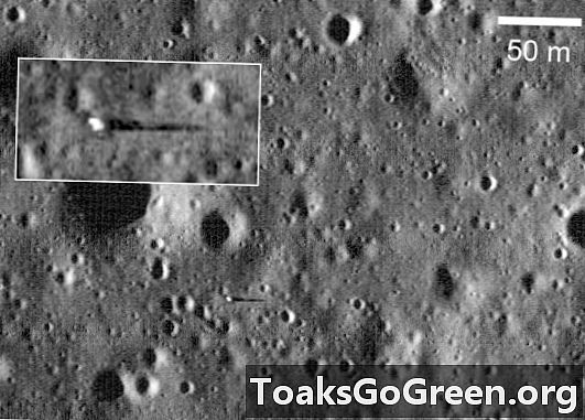 חפש ממצאים חייזרים על הירח, אומר מדען בעל שם