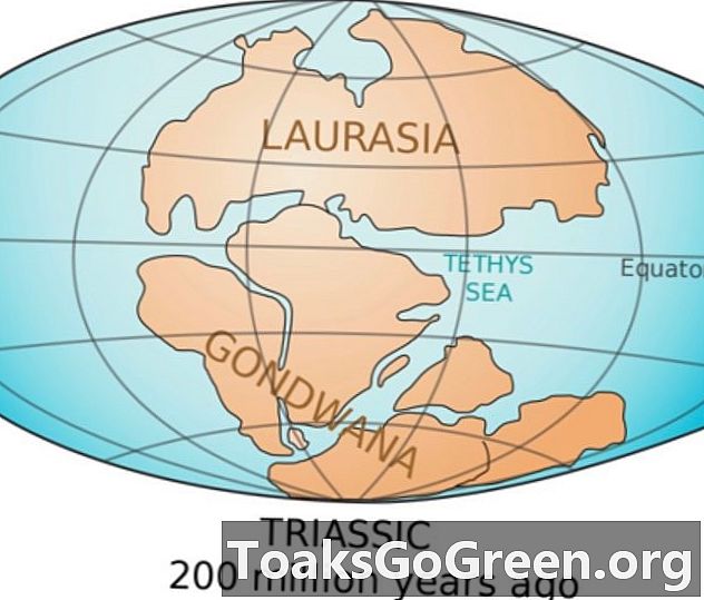 Elveszett kontinens az Indiai-óceán alatt?