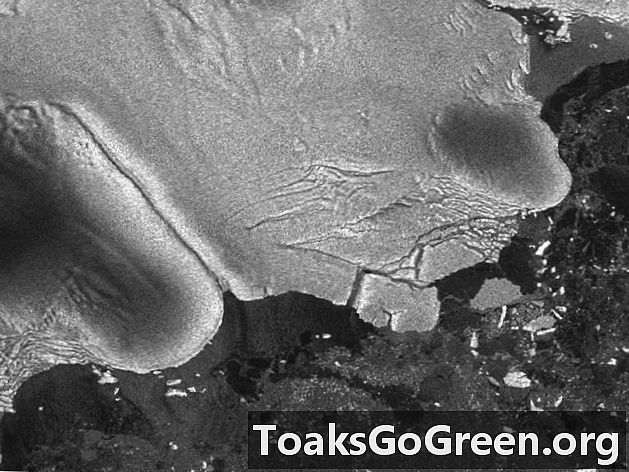 2011. gada marts Japānas cunami pārtrauca aisbergus Antarktīdā