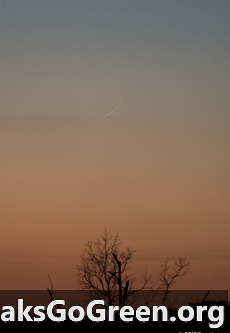 28 مارس قمر صغير جدا