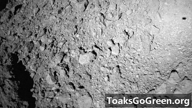 MASCOT gibt das erste Bild des Asteroiden Ryugu zurück