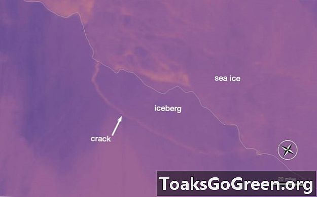 Gunung es raksasa memecah Antartika