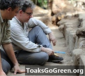 マヤの考古学者が新しい2012年の記念碑を発掘