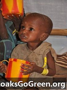 ソマリアの難民キャンプでのはしかとコレラ