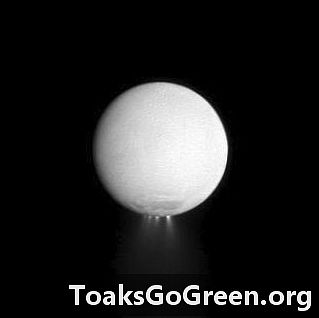 Mikroba pada atau dalam bulan Saturnus Enceladus?