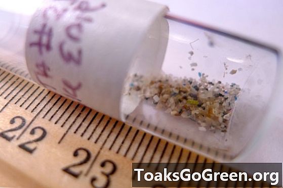 Mikroplastika je vedno večja skrb za Velika jezera
