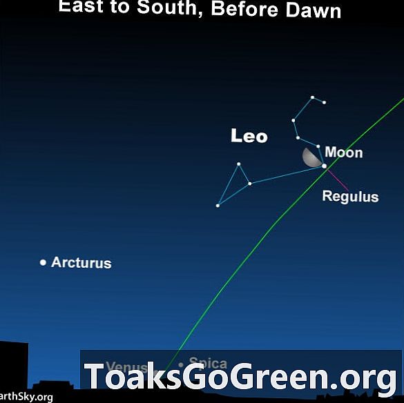 Měsíc a Regulus pozdě v noci do úsvitu 28. a 29. listopadu